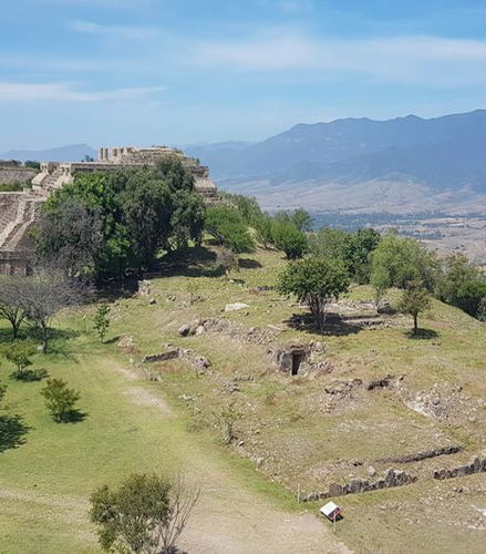 Foto de Excursión de medio día al yacimiento arqueológico de Monte Albán