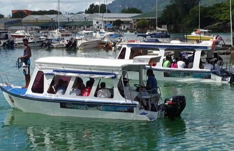 Excursão à ilha Moyenne + Snorkel e almoço no restaurante Jolly Roger - Foto 3