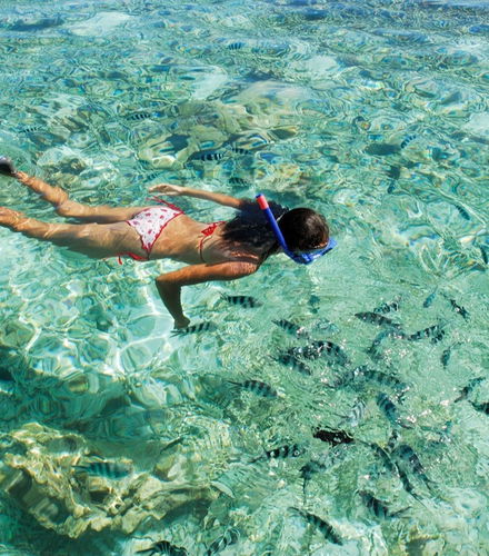 Foto - Escursione all&apos;isola di Moyenne + Snorkeling e pranzo al ristorante Jolly Roger