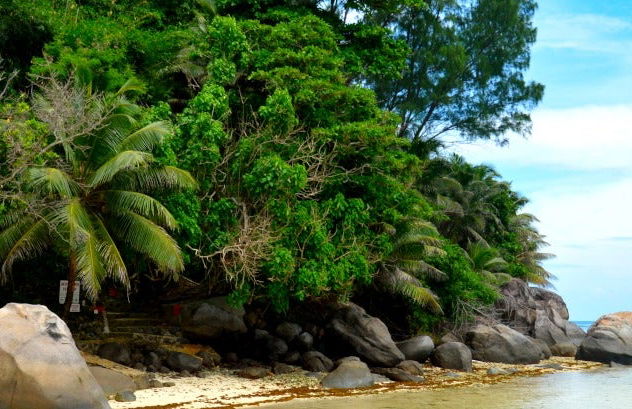 Excursão à ilha Moyenne + Snorkel e almoço no restaurante Jolly Roger - Foto 4