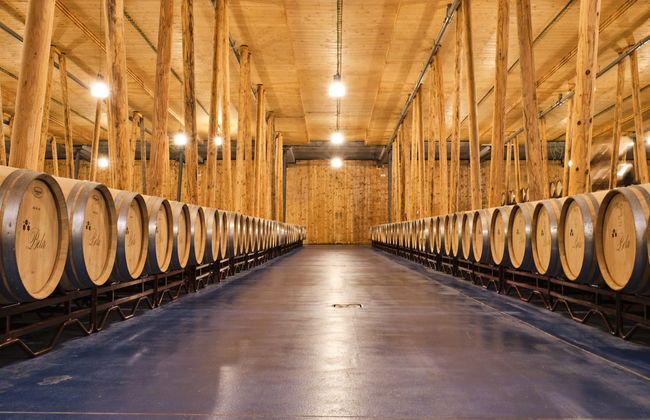 Bela Winery Visit - Foto 3