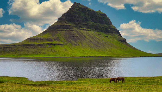 Private Day Trip from Reykjavík - Photo 4