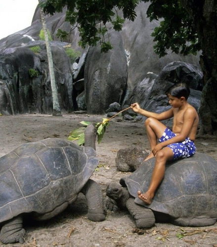 Foto - Tour di La Digue