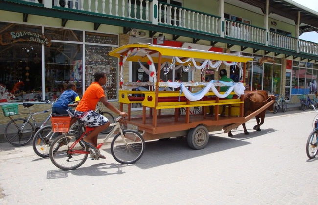 Tour por La Digue - Foto 3