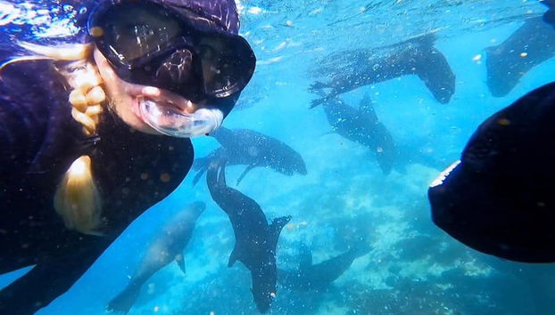 Snorkel en Ciudad del Cabo - Foto 2