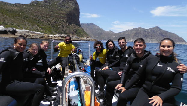 Snorkel en Ciudad del Cabo - Foto 4