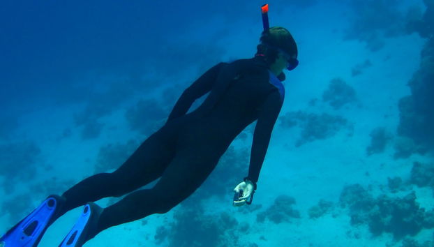 Snorkel en Ciudad del Cabo - Foto 5