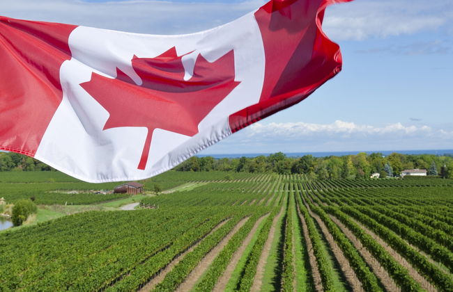 Excursión a Niagara-on-the-Lake + Fábrica de chocolate y bodega - Foto 8