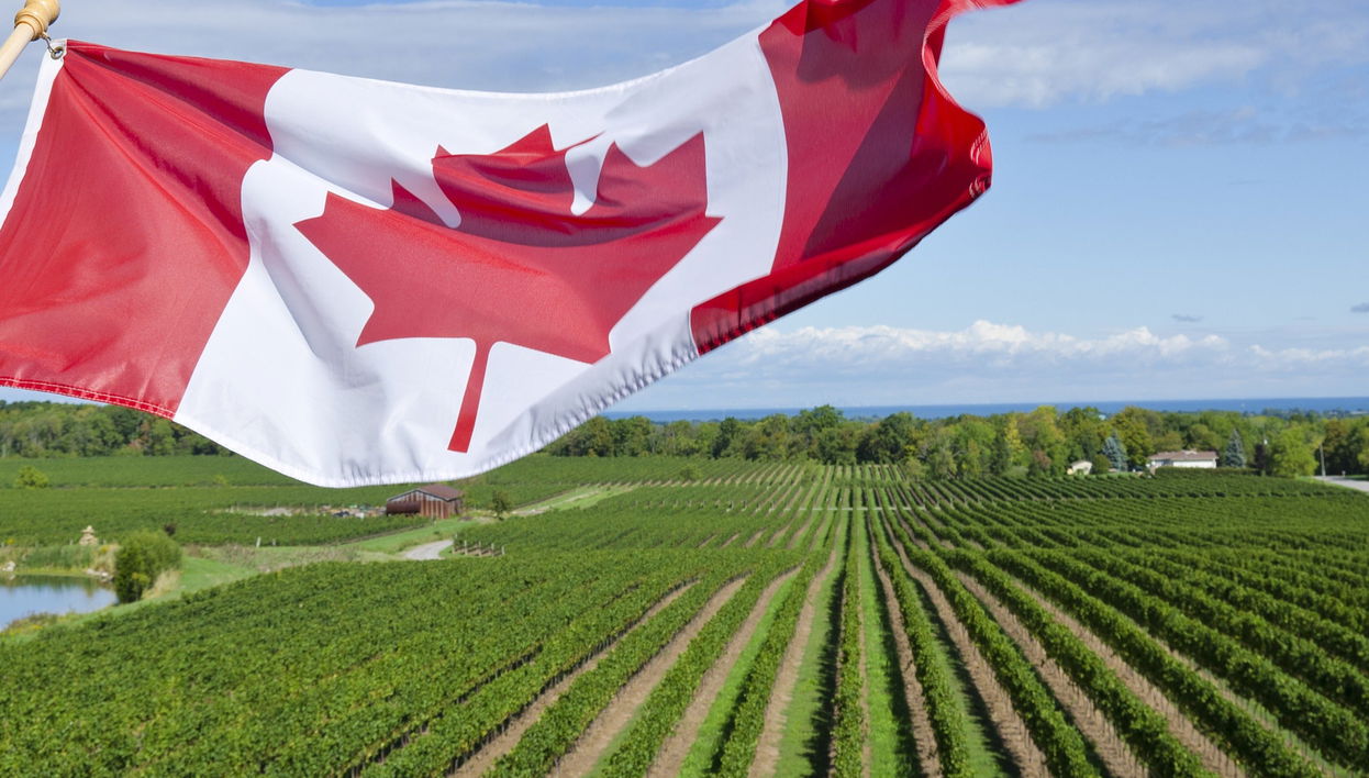 Food & Wine Tour + Niagara-on-the-Lake Day Trip - Foto 1