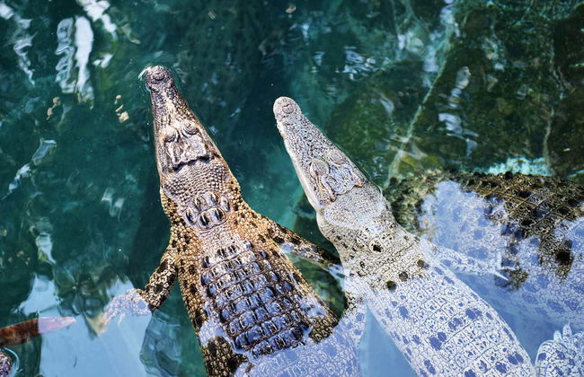 Darwin Private City Tour - Photo 7