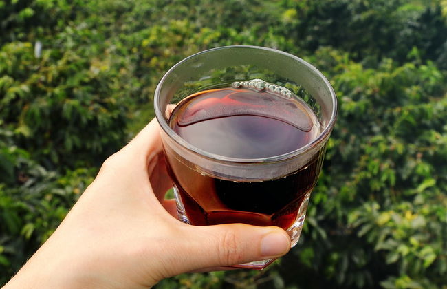 Taller de café en Pereira - Foto 4