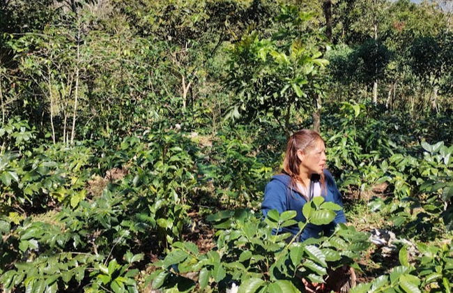Tour del café por Tenejapa + Visita por Romerillo y Cruztón - Foto 6