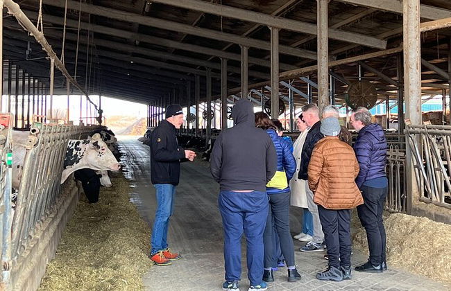 Parmigiano Balsamico und Ferrari Aromen der Emilia Romagna - Foto 4