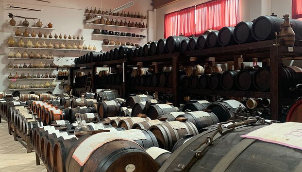 Parmigiano Balsamic and Ferrari Flavors of Emilia Romagna - Photo 5