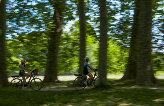Visite guidées de Lyon à vélo ou à vélo électrique - Tête d'or - Photo 7