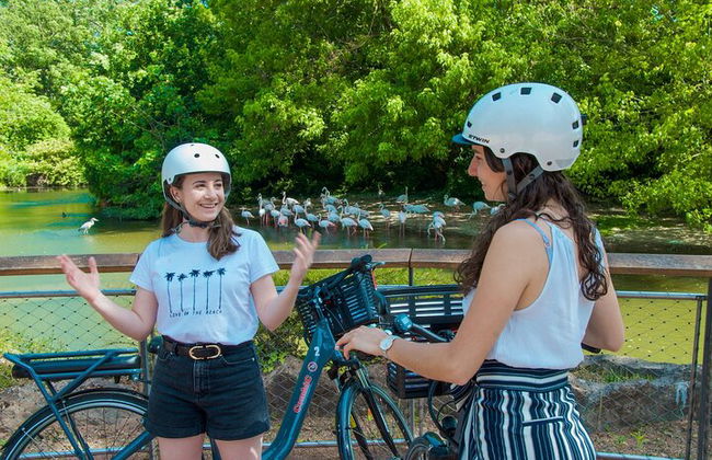 Visite guidées de Lyon à vélo ou à vélo électrique - Tête d'or - Photo 6