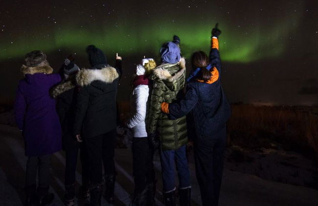 Caccia all'Aurora Boreale con un fotografo - Tour di mezza giornata per piccoli gruppi - Foto 6