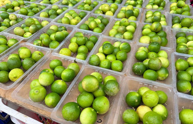 Visita guidata di Papeete - Foto 7