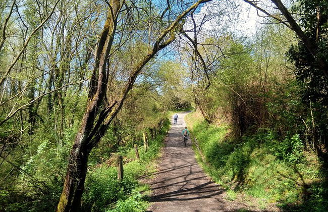 Goût du Camino de Santiago - Photo 23