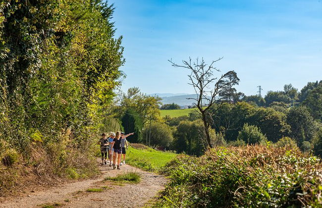 Goût du Camino de Santiago - Photo 1