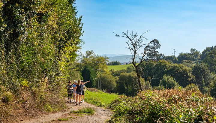 Goût du Camino de Santiago - Photo 1
