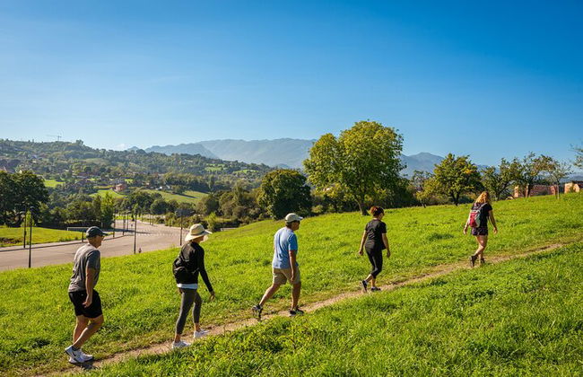 Goût du Camino de Santiago - Photo 11