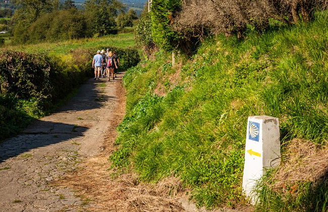 Goût du Camino de Santiago - Photo 22