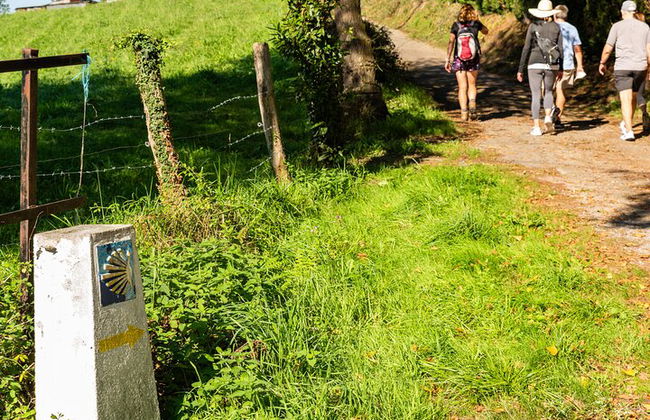 Goût du Camino de Santiago - Photo 13