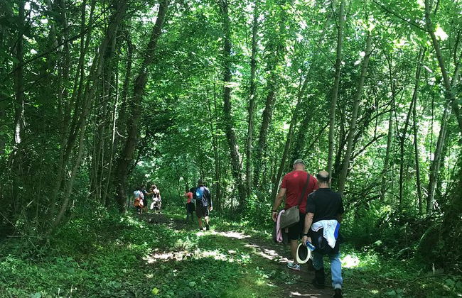 Goût du Camino de Santiago - Photo 24