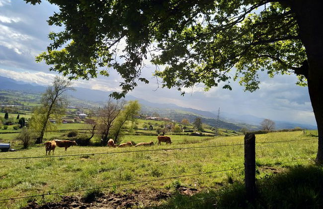 Goût du Camino de Santiago - Photo 17