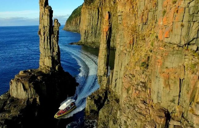 Cruceros por la isla Bruny: Crucero de 3 horas por la naturaleza - Foto 3
