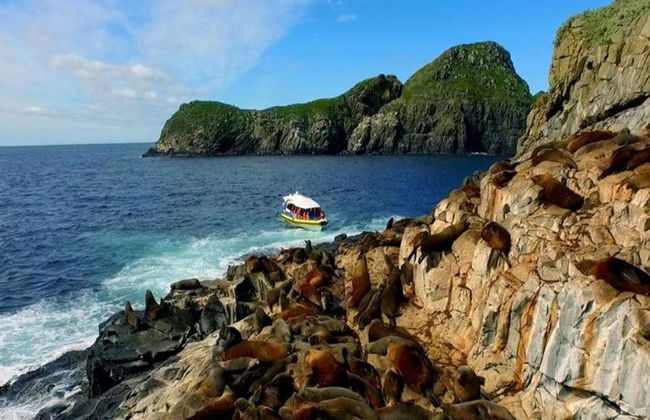 Cruceros por la isla Bruny: Crucero de 3 horas por la naturaleza - Foto 4