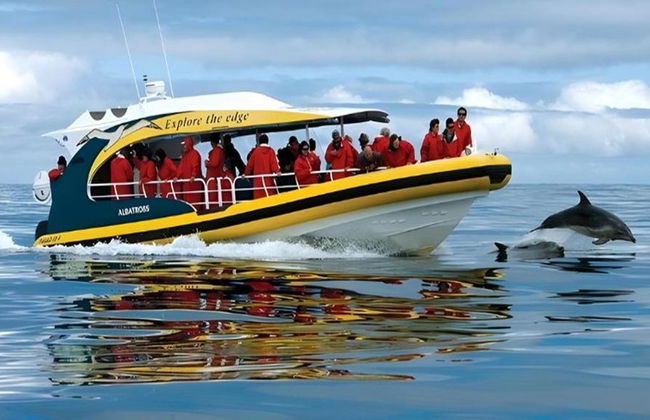 Cruceros por la isla Bruny: Crucero de 3 horas por la naturaleza - Foto 2