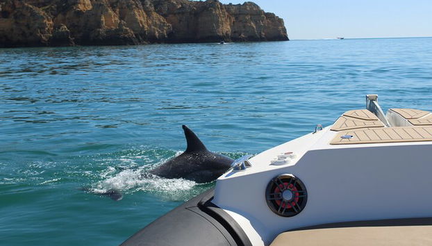 Explora Cueva de Benagil, Ponta da Piedade y Delfines en el Algarve - Foto 3