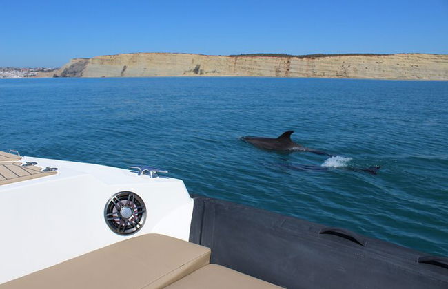 Explora Cueva de Benagil, Ponta da Piedade y Delfines en el Algarve - Foto 10