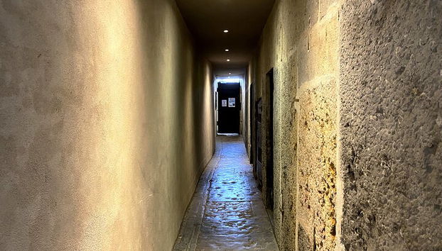 Cata de vinos en Lyon y Traboules Secretos - Foto 2