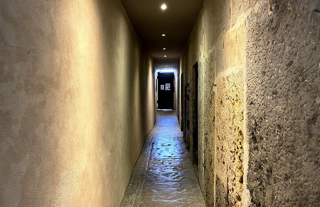 Cata de vinos en Lyon y Traboules Secretos - Foto 2