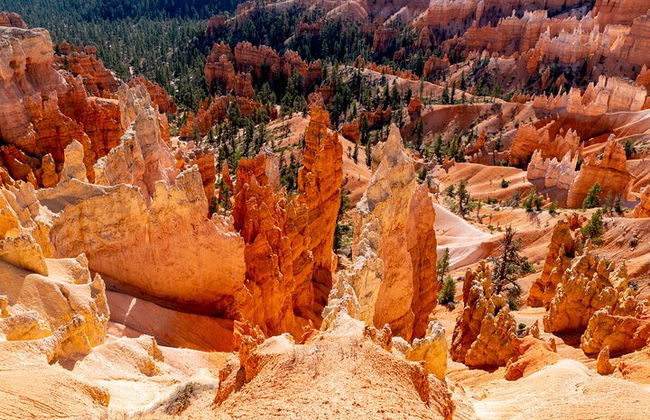 Transporte entre Las Vegas, Bryce Canyon, el Parque Nacional Zion y St George - Foto 5
