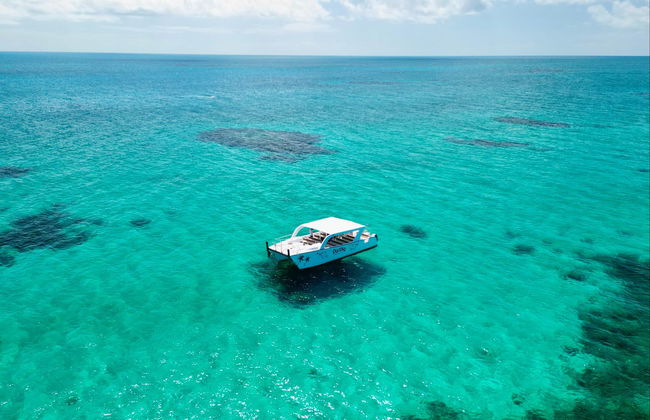Excursão a Rose Island com avistamento de porcos - Foto 4