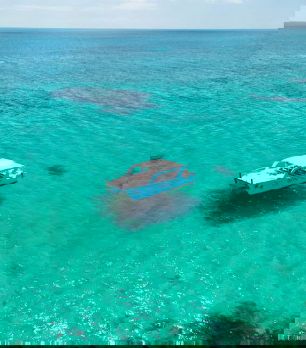 Foto de Excursión a Rose Island con avistamiento de cerdos