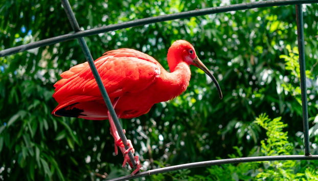 Entrada a la Biosfera - Foto 4