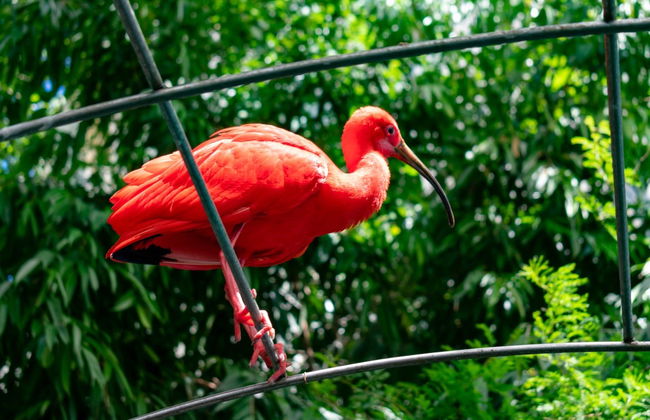 Entrada a la Biosfera - Foto 4