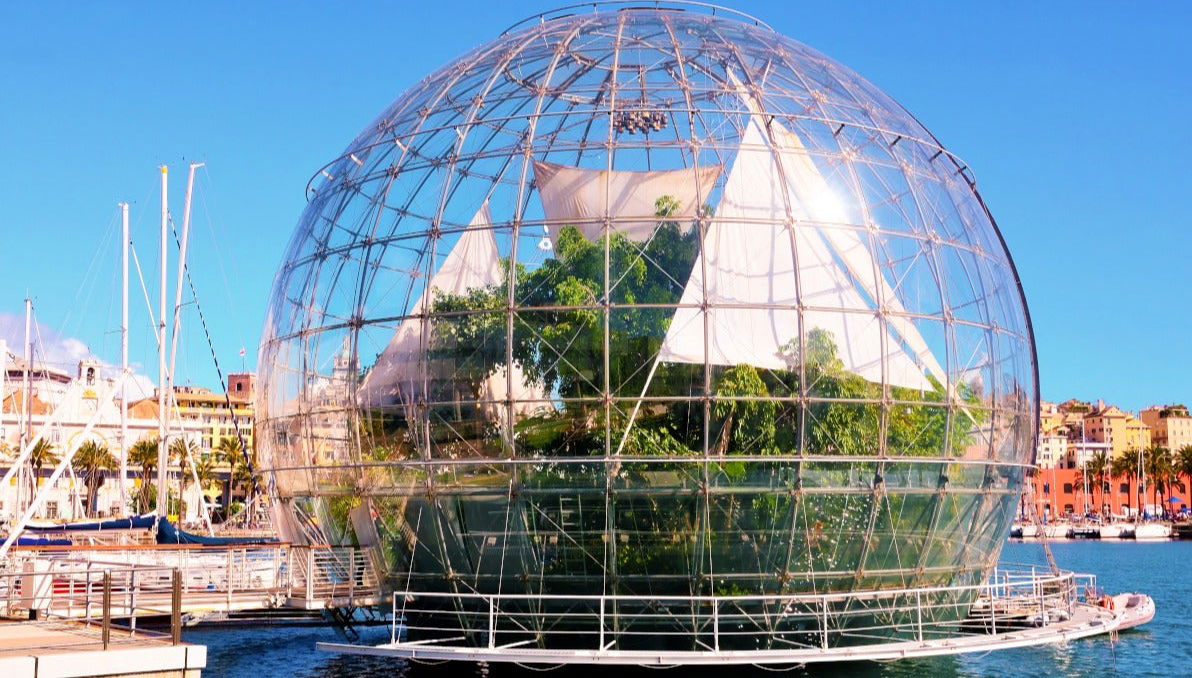 Entrada a la Biosfera - Foto 1