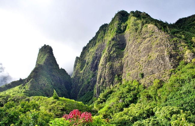 Maui Island Tour - Photo 2