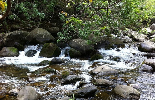 Maui Island Tour - Photo 3