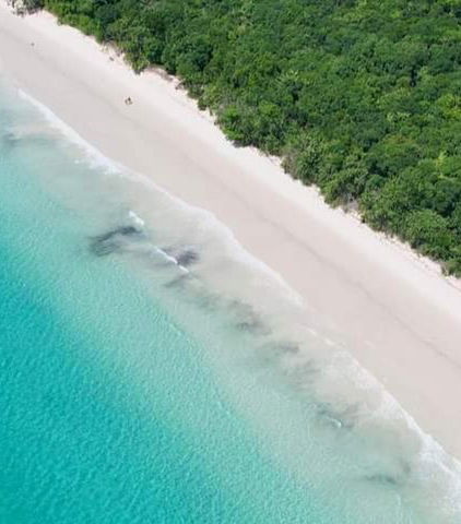 Foto de Excursión a la isla de Anchieta y la playa de Sete Fontes