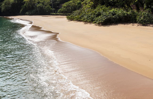 Day Trip to Anchieta Island - Photo 6