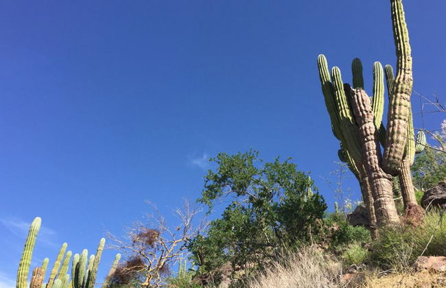 Caminata por las colinas de La Paz - Foto 3