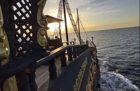 Avistamiento de delfines al atardecer - Foto 6