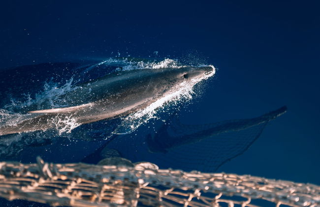 Paseo en barco pirata por Lampedusa - Foto 5